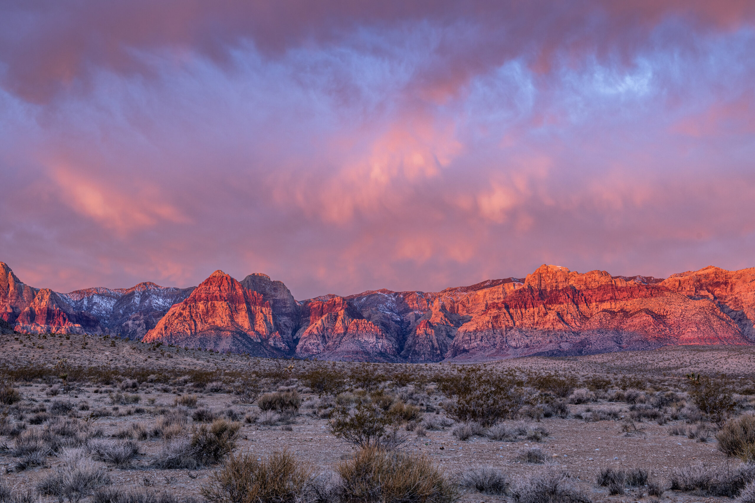 Spring Valley, NV