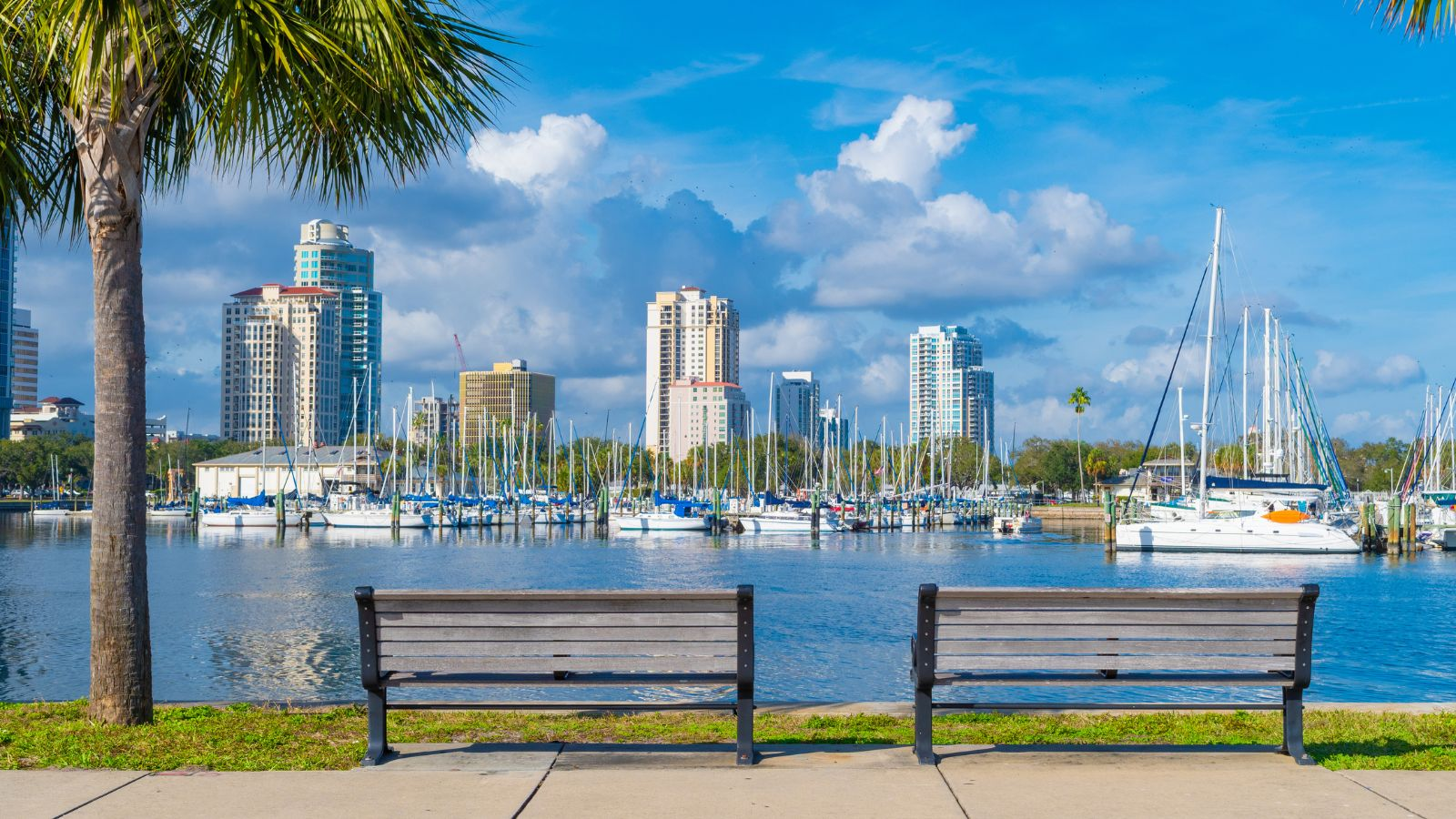 Palm Harbor, FL